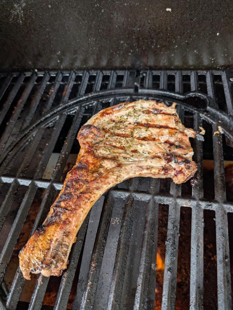 Dinner, grilled